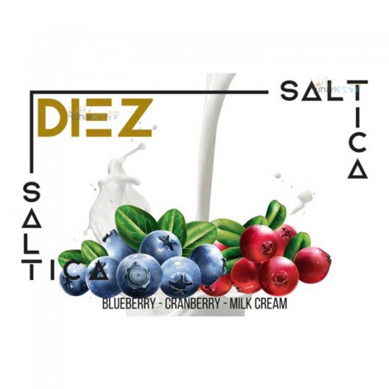 Saltica - Diez 30 ml Premium Salt Likit
